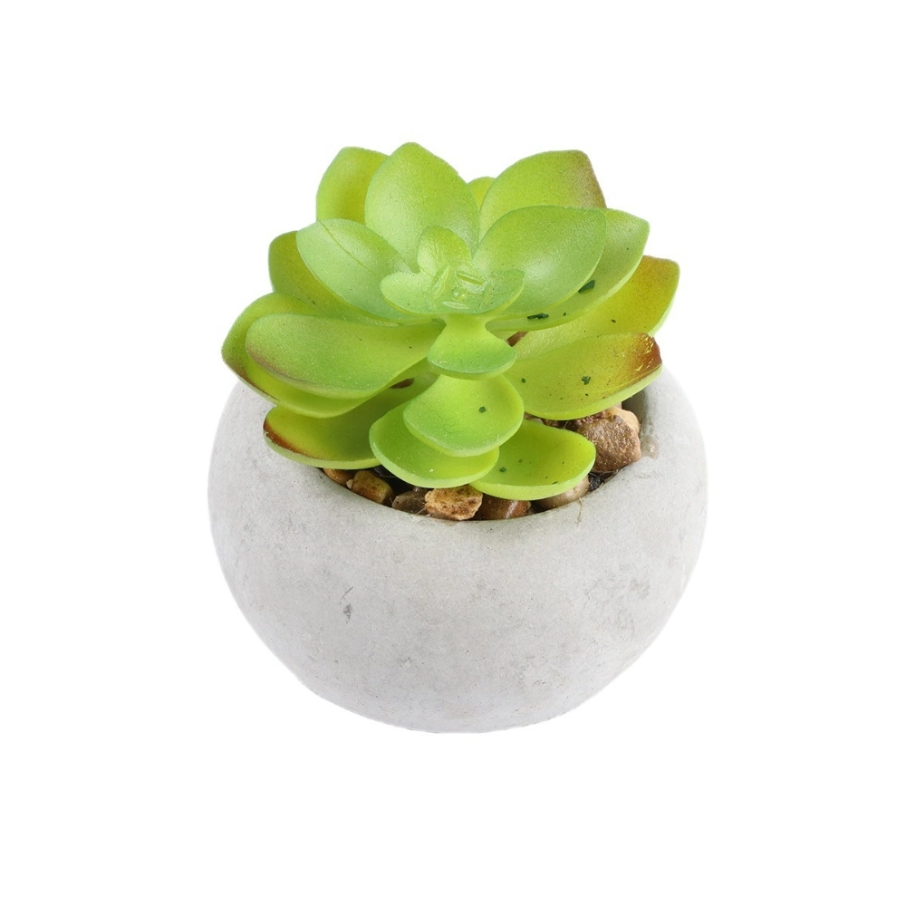 Artificial Succulent Plants in Cement Pots Realistic Faux Potted Plant Ci24797