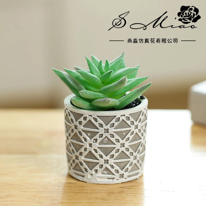 Bonsai Green Succulent Plants for Christmas Gift Home Decoration