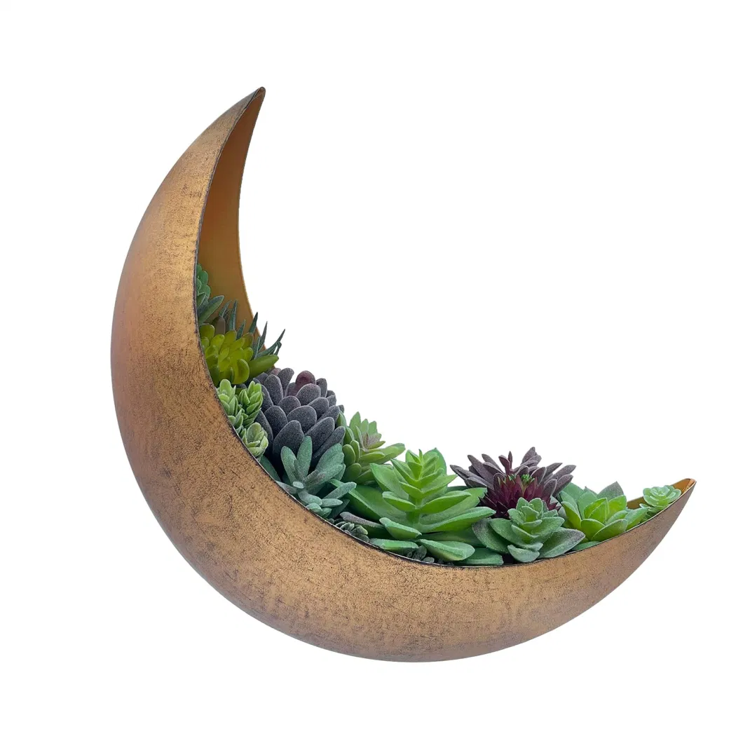Indoor Outdoor Wall Hanging Rustic Gold Mounted Metal Celestial Planter for Succulents Cacti