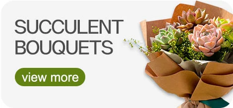 Dudu New Arrival Pretty Berry Bouquets Natural Live Succulent