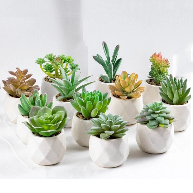Mini Realistic Fake Succulents with Ceramics Pots for Home Decoration