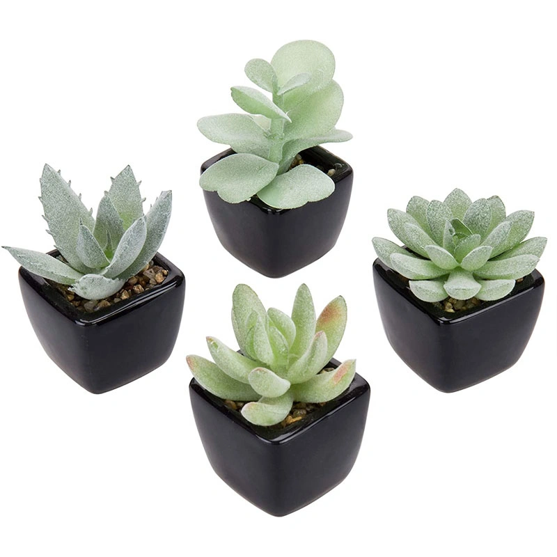 Assorted Lifelike Mini Artificial Succulent Plants in Black Cube Ceramic Pots, Set of 4