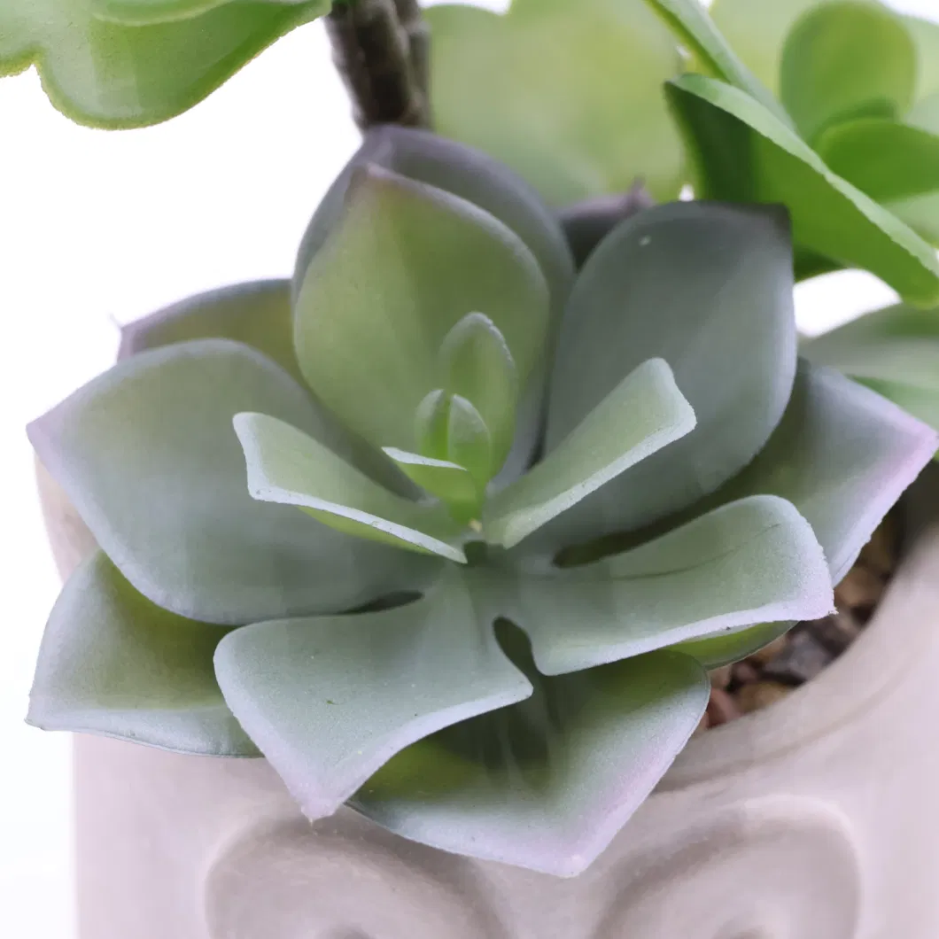 China Wholesale Artificial Plants Small Size Potted Succulents for Home Decoration