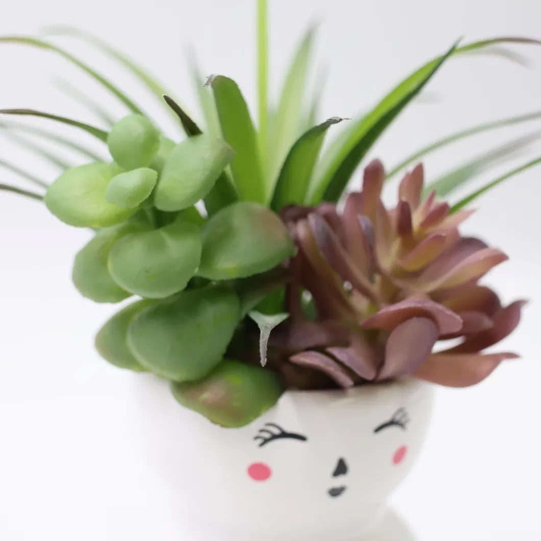Succulent Artificial Plant Desktop Decor Artificial Plastic Potted Bonsai Succulent Plants
