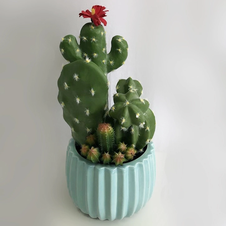 28cm High Mini Home Decoration Plastic Ceramic Cactus