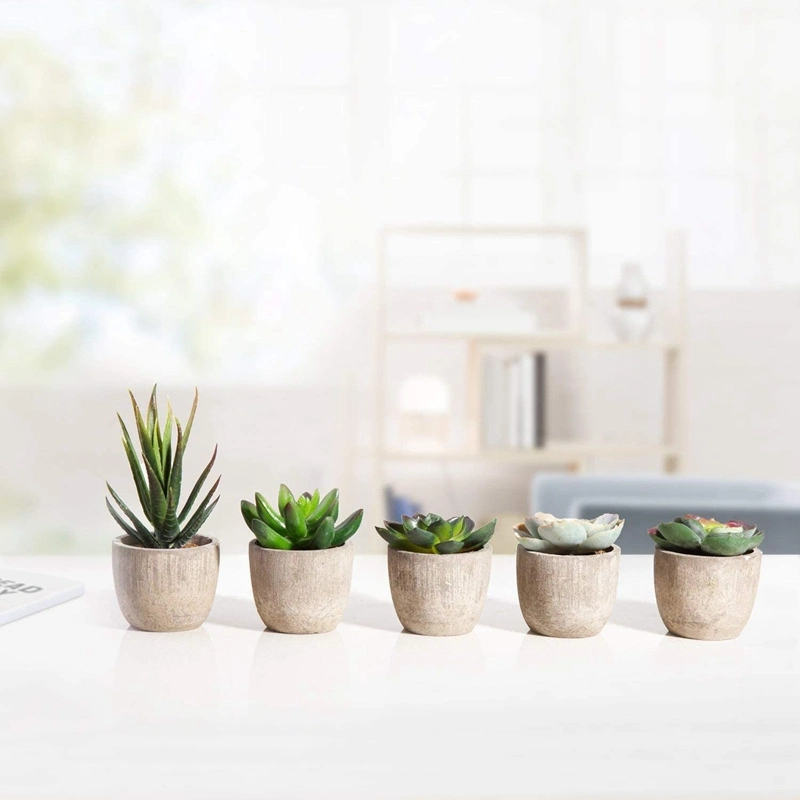 Assorted Decorative Faux Succulent Potted Fake Cactus Cacti Succulent Plants with Gray Pots, Set of 5