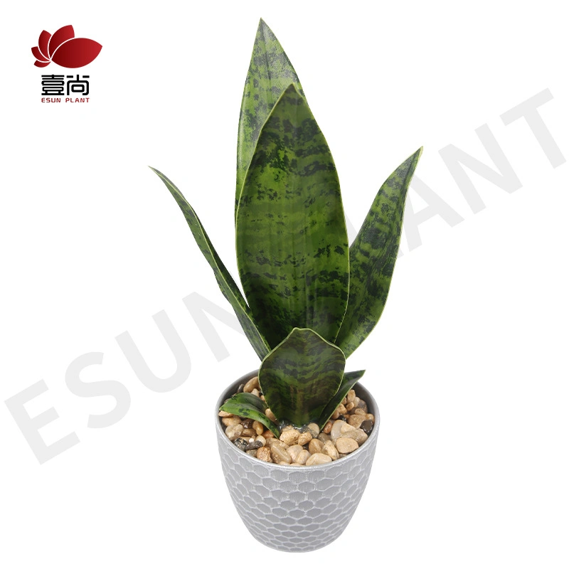 Imitation Succulent Plant Orchids Decorative of Plastic Bonsai