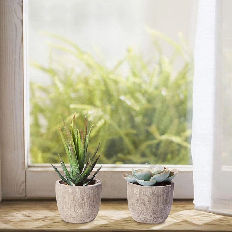 Assorted Decorative Faux Succulent Potted Fake Cactus Cacti Succulent Plants with Gray Pots, Set of 5