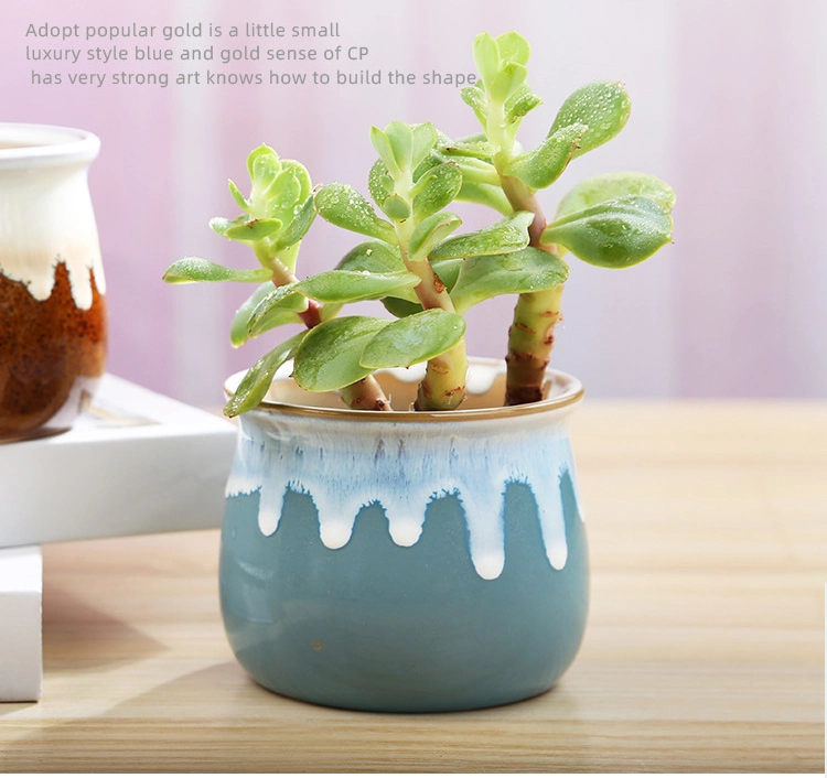 2.5 Inch Ceramic Succulent Planter Pot Planting Pot Flower Pots Small Planter Pots for Mini Plant Ceramic Flowing Glaze Serial Set