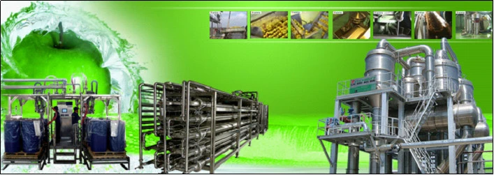 Cacti Fresh Juice Full Automatic Production Line