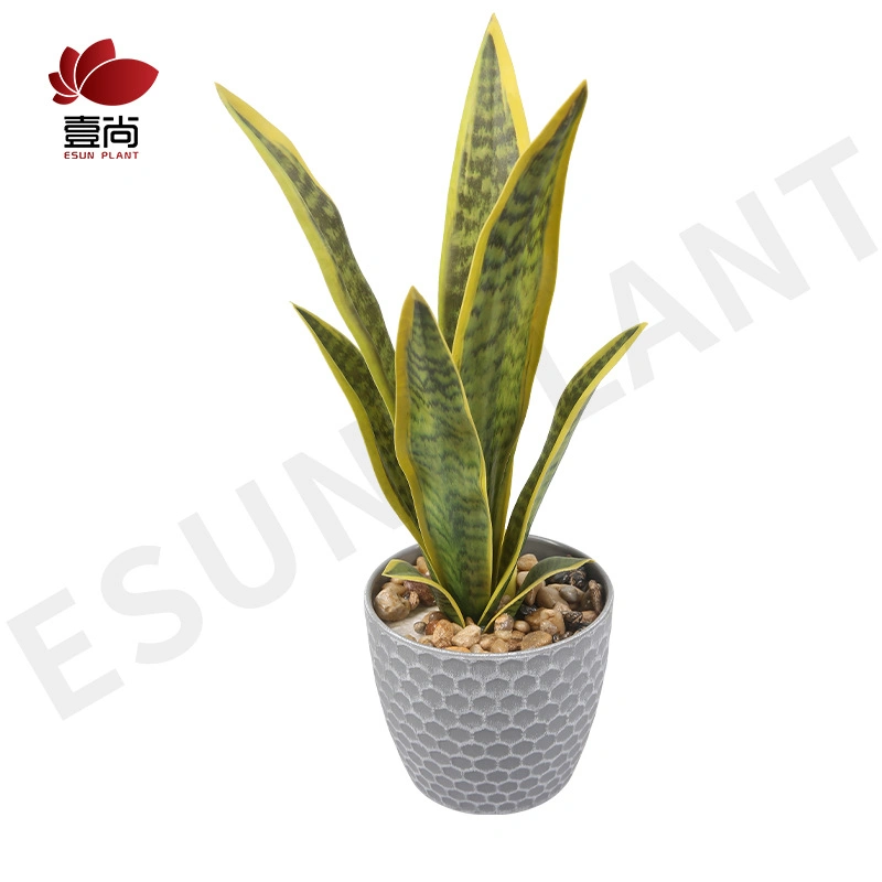 Imitation Succulent Plant Orchids Decorative of Plastic Bonsai