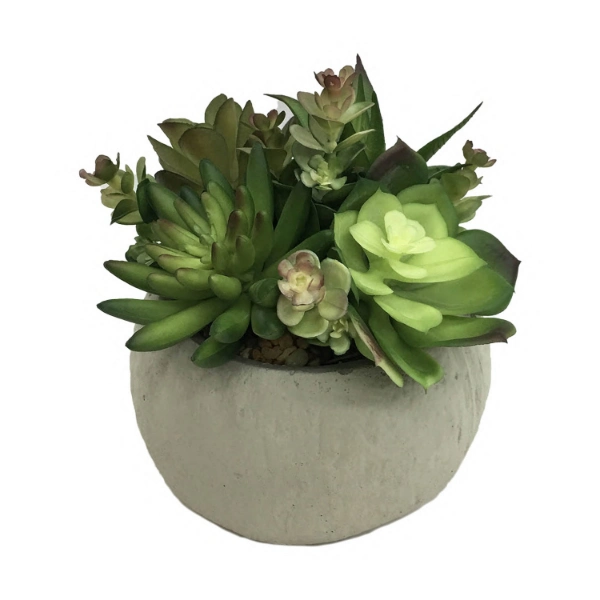 14cm H Artificial Mix Succulents Floral Arrangement