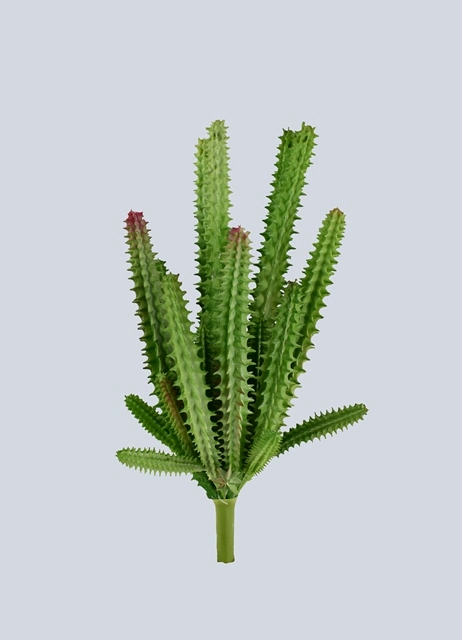 PE Cactus Artificial Plant for Home Decoration with SGS Certificate (50239)