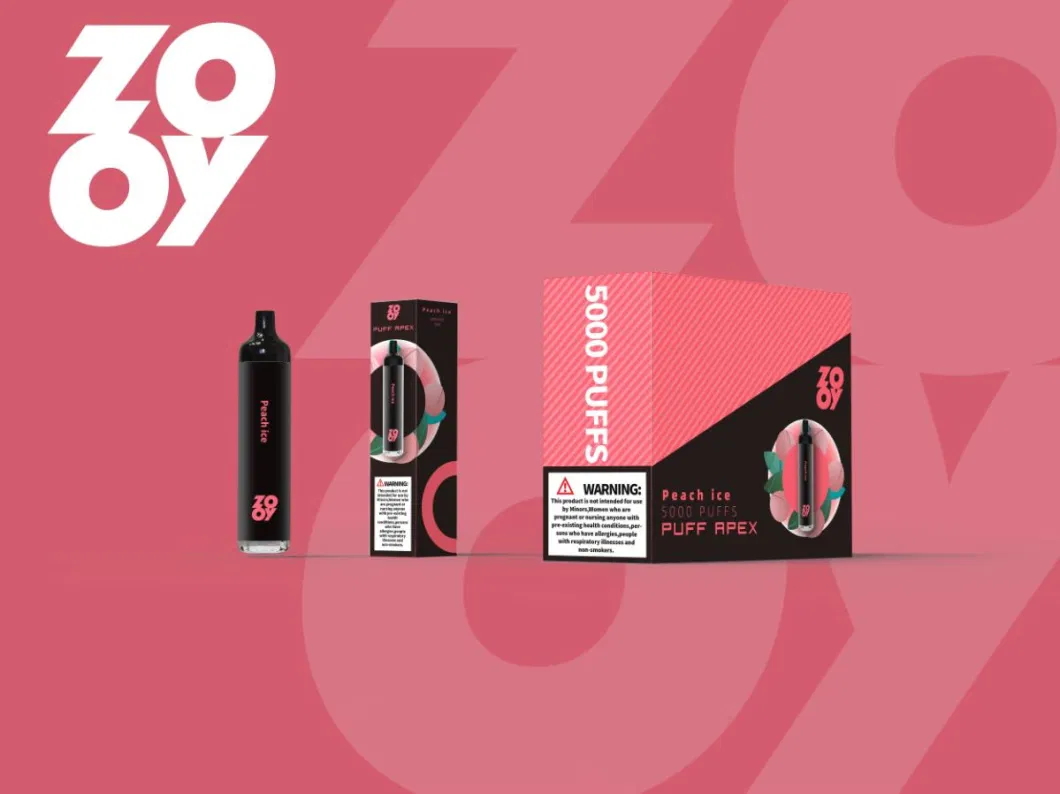 5000 Puffs E-Cigarette Starter Kits 13ml E-Juicy Wholesale Price Disposable E-Cigarette