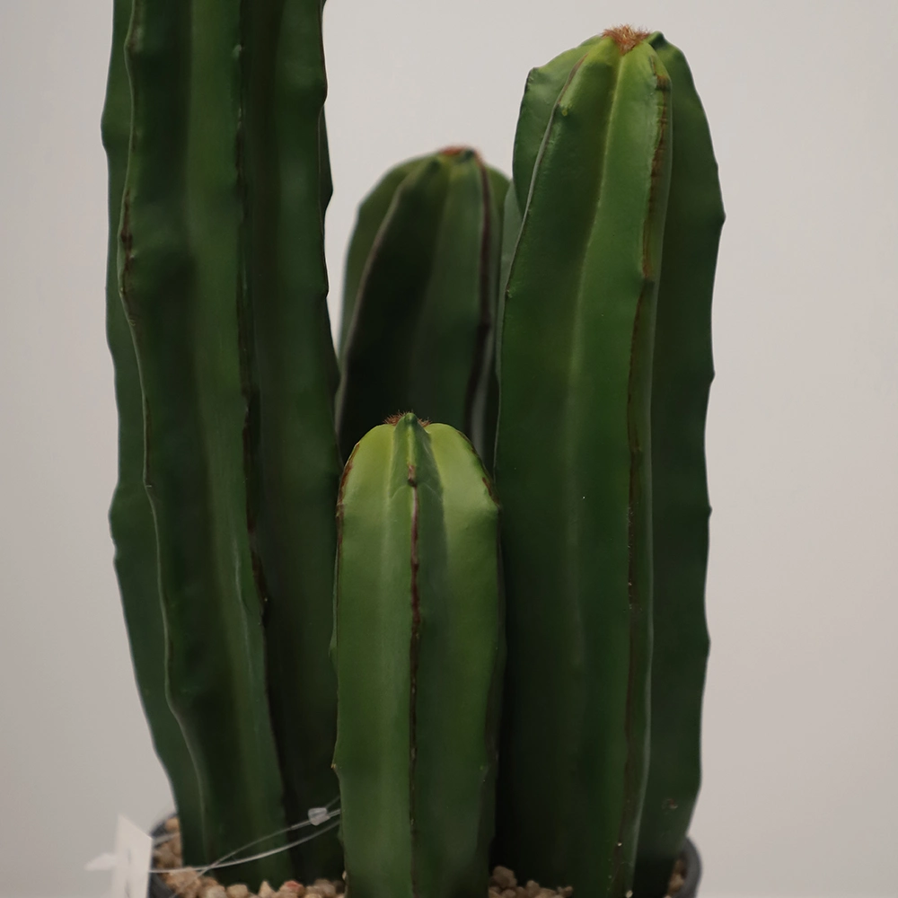 Wholesale Export Artificial Cactus Plant Faux Plastic Cactus Garden Cacti Parlante Decor Cactus Tree for Home Decor
