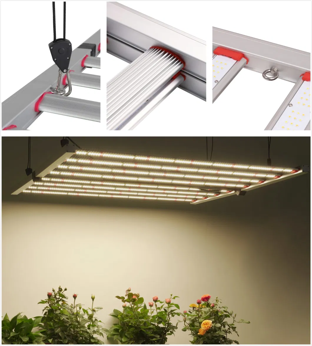 640W Indoor Plant Grow Light Hangers Adjustable, Full Spectrum Grow Light for Seedling Veg Flower Fruits Succulent, Qu