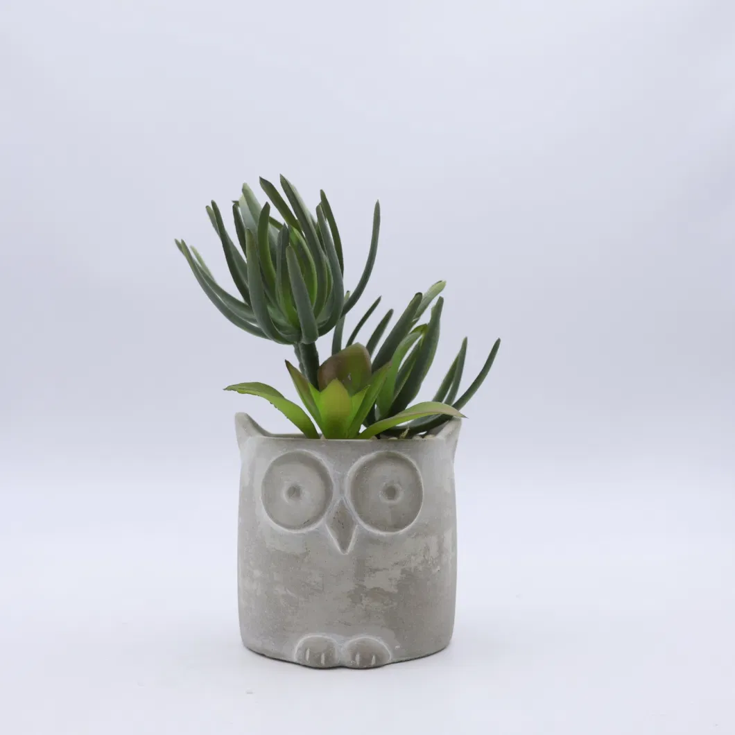 Artificial Succulent Plastic Succulent Plant Small Pot Office Desktop Ornamental Decoration