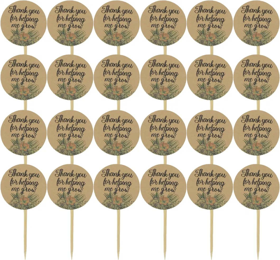 Custom Plant Markers Wooden Plants Labels Succulent Labels Wooden Plant Markers for Vegetable Flowers Garden Potted Plants