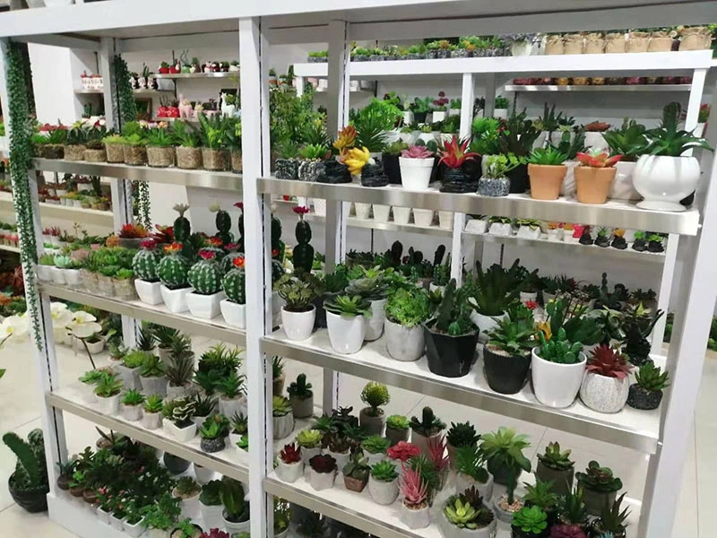 Wholesale Plastic Simulation Artificial Plant Assorted Artificial Succulents in Pot