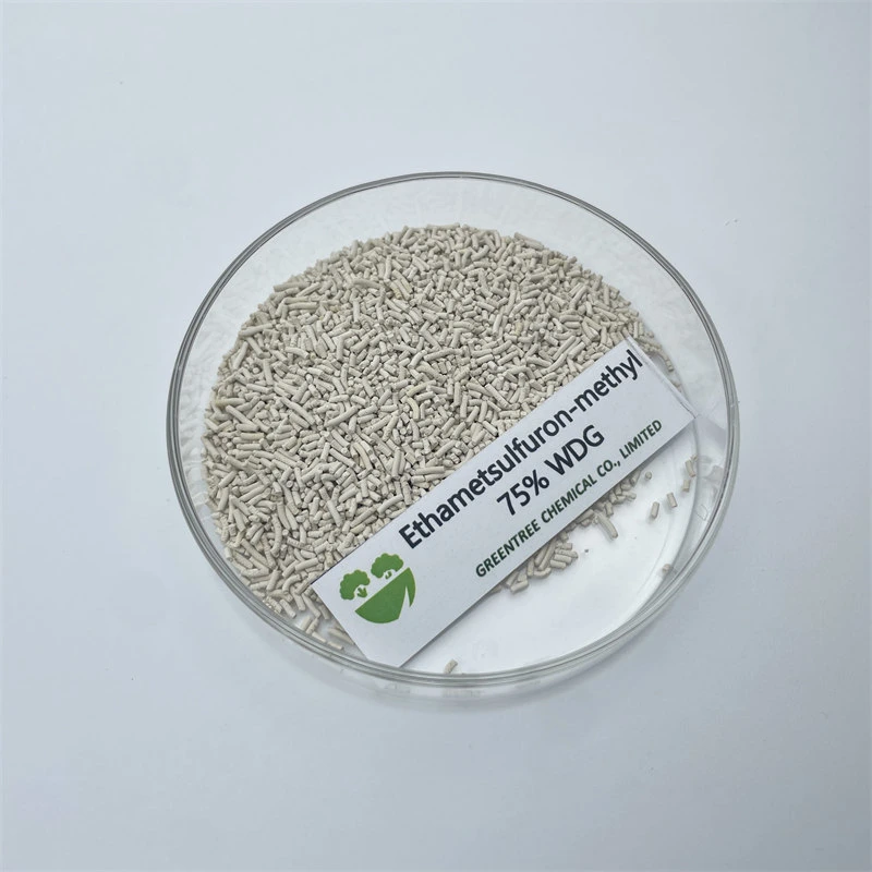 CAS 97780-06-8 Agrochemicals Herbicide Ethametsulfuron-Methyl 75% Wdg