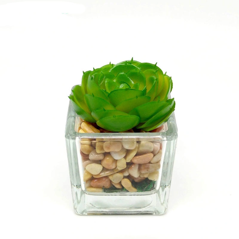 Small Glass Cube Artificial Succulent Planters 4 Set Assorted Faux Plants with Smooth Rocks