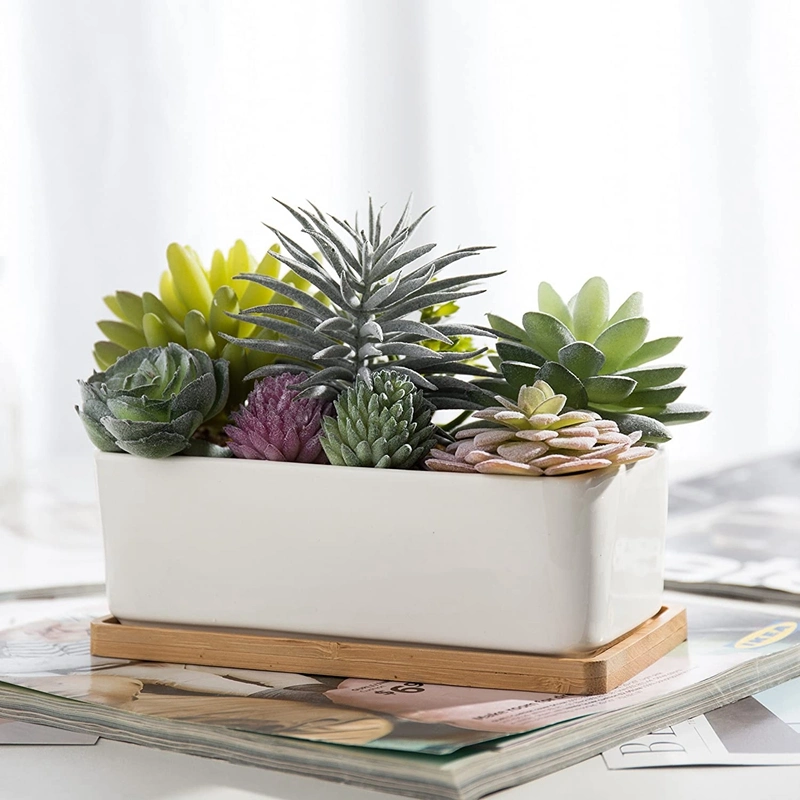 Potted Artificial Succulents in Ceramic Pot with Bamboo Tray