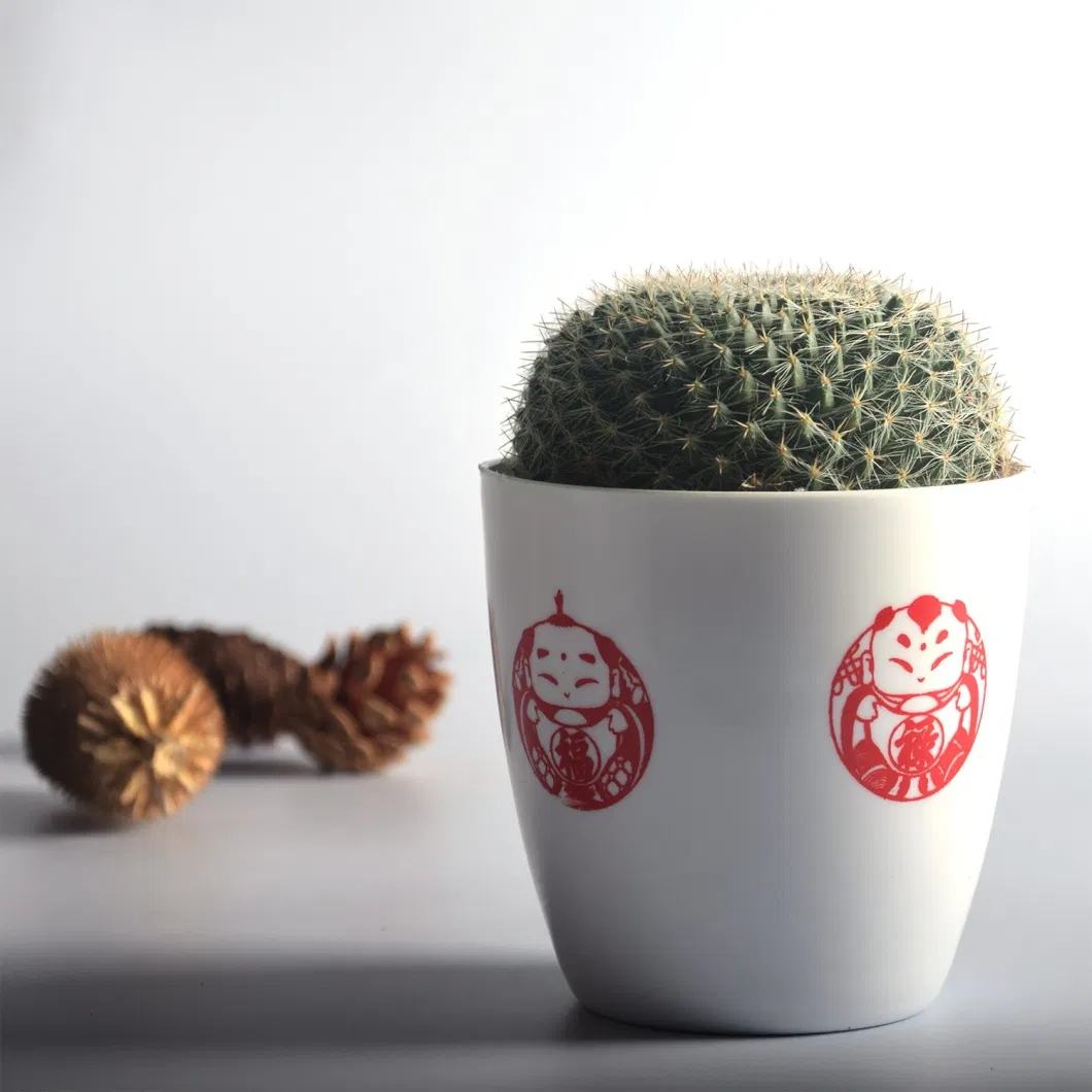 Round Mini Potted Succulent Cactus Plant for Indoor Decoration