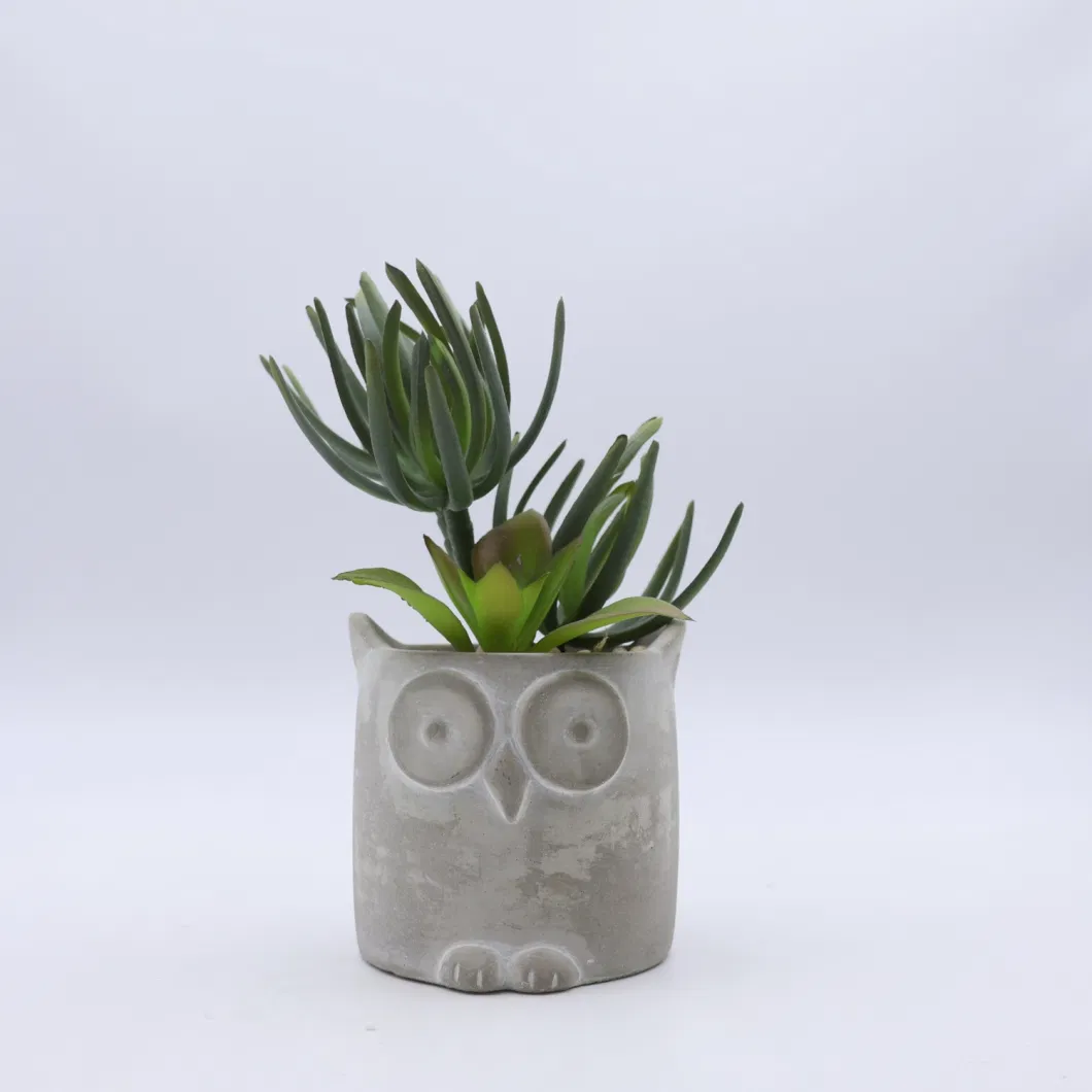 Artificial Succulent Plants Mini Plastic Succulent with Pots for Decoration