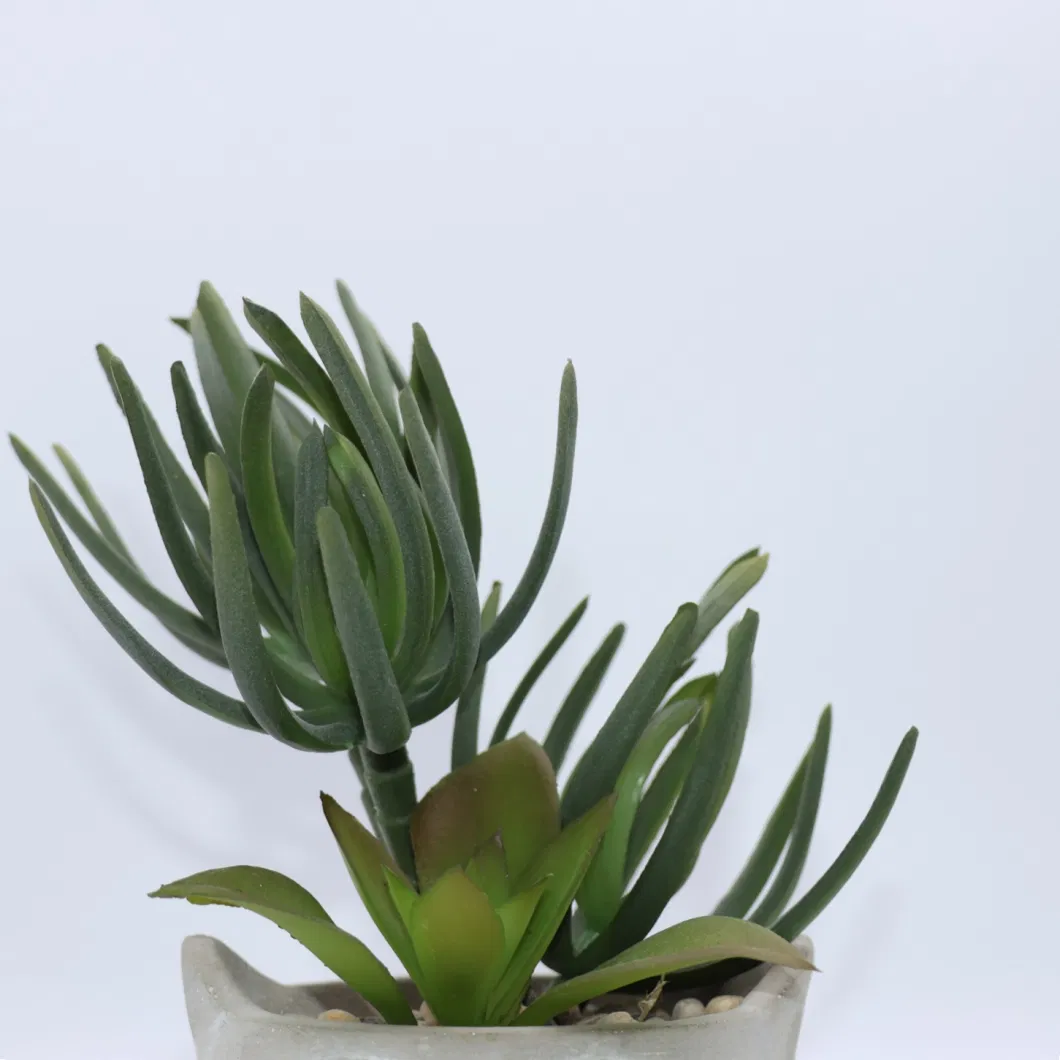 Artificial Succulent Plants Mini Plastic Succulent with Pots for Decoration