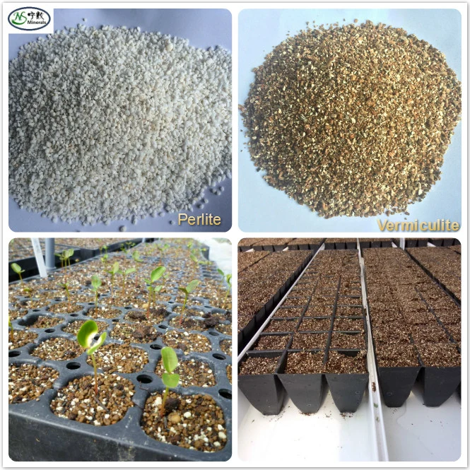 Soilless Matrix Soil Improver Agriculture Horticulture Expanded Perlite