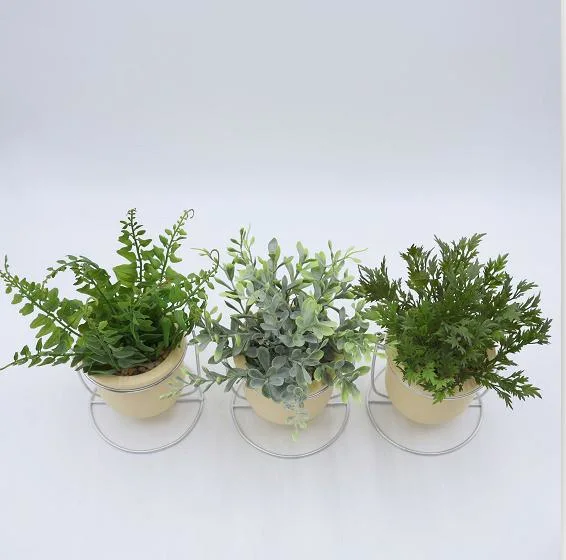 Natural Preserved Artificial Plant Dome Decorative Plant Bonsai Live Home Lifestyle