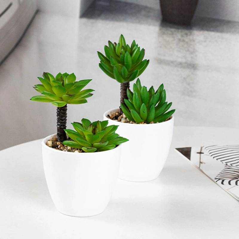 Small Succulents Plants Artificial with Plastic Potted Set of 4