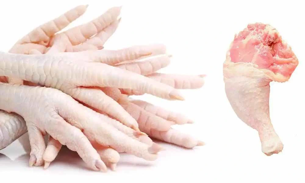 Top Quality Poultry Farm Halal Frozen Whole Chicken Legs with Good Price