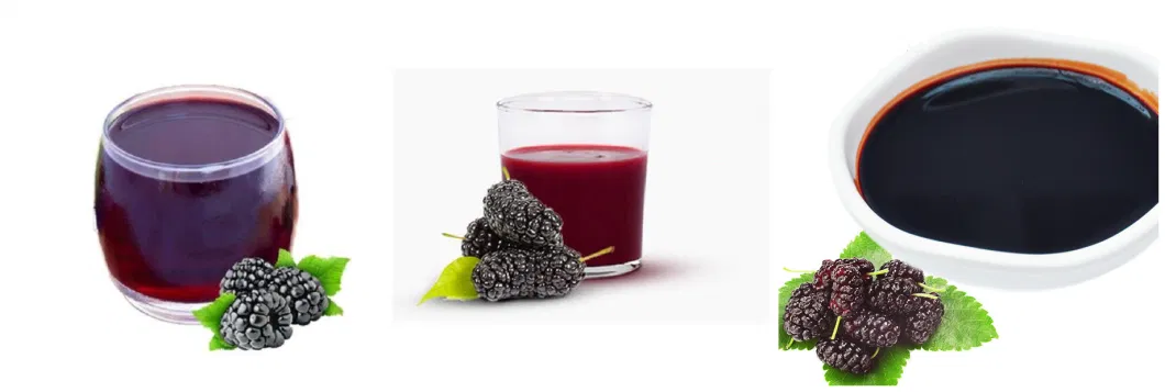 Top Quality Mulberry Juice Concentrate
