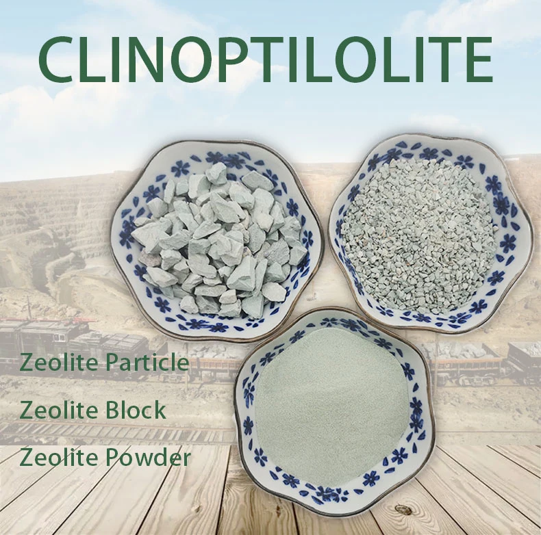 Pietra Green Zeolite Granular for Succulent Plant Landscaping