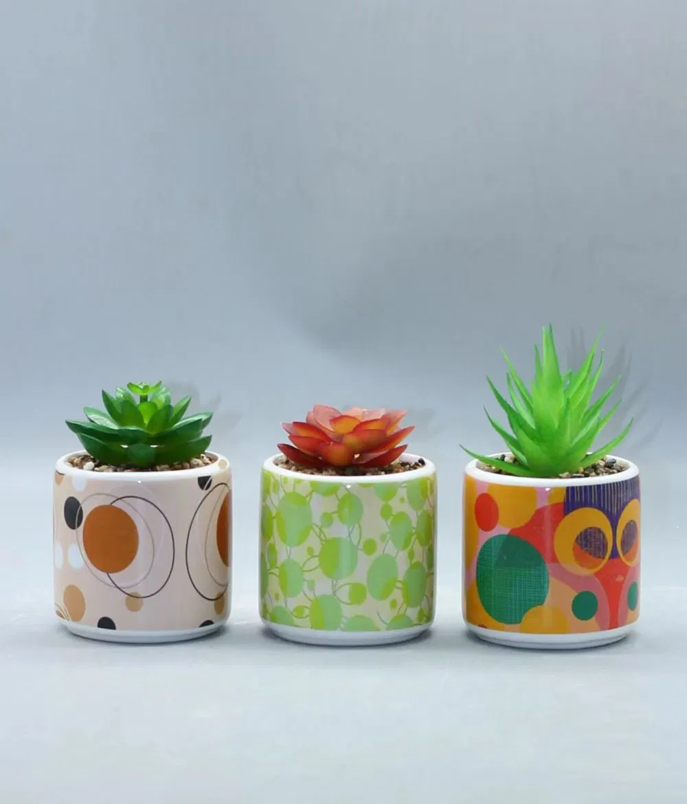 Set of 3 Potted Artificial Succulent Table Decoration, Faux Succulent in Ceramic Pot