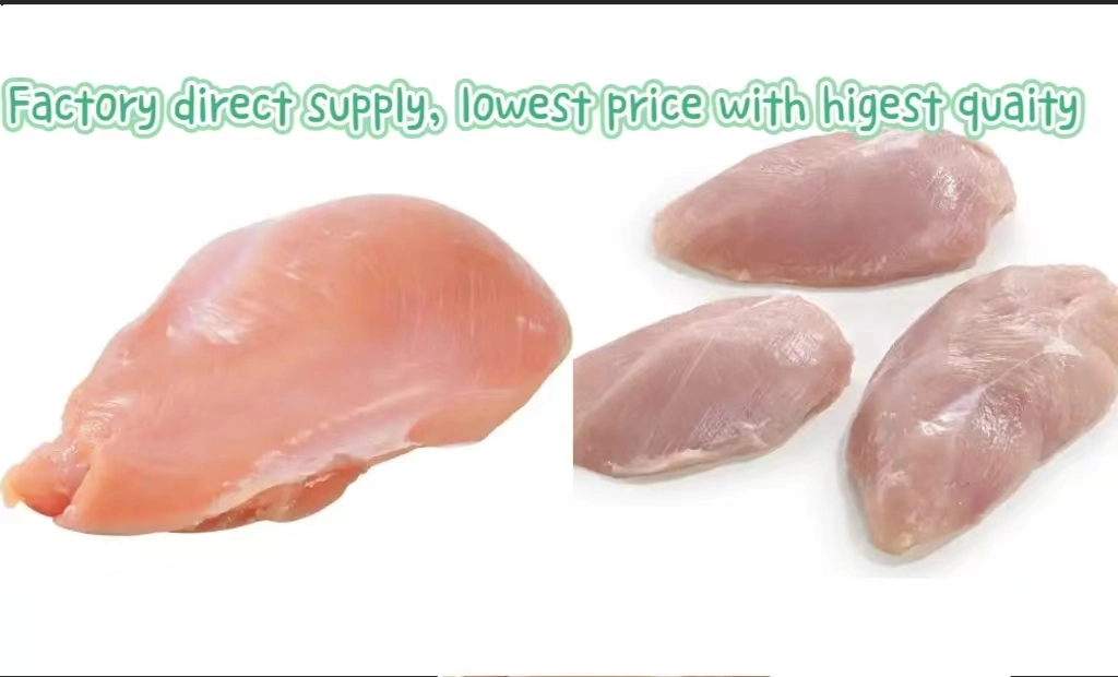 Top Quality Poultry Farm Halal Frozen Whole Chicken Legs with Good Price