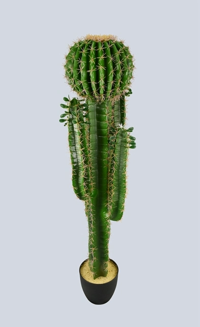 Artificial Plant Plastic Ball Pipe Cactus with Pot for Garden Decoration (51058)