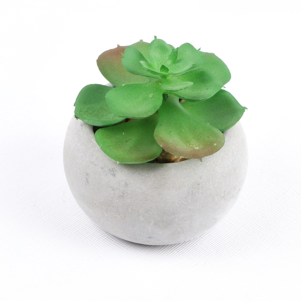 Artificial Succulent Plants in Cement Pots Realistic Faux Potted Plant Ci24797