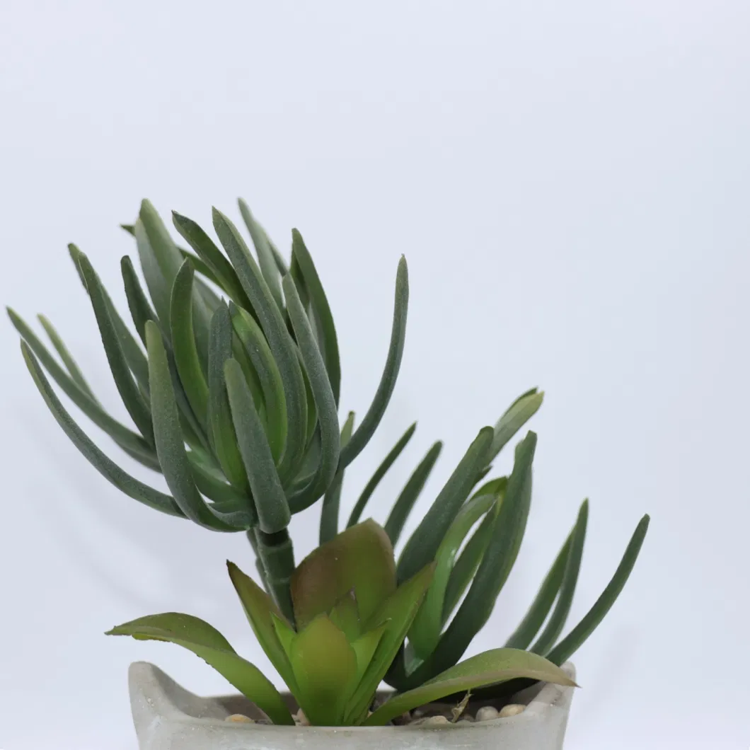 Artificial Succulent Plastic Succulent Plant Small Pot Office Desktop Ornamental Decoration