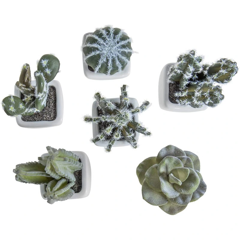 Artificial Mini Succulent &amp; Cactus Plants in White Cube-Shaped Pots for Home Decor, Set of 6
