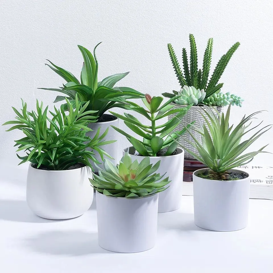 Wholesale Mini Artificial Plastic Succulent Plants Bonsai with Ceramic Planter Pots