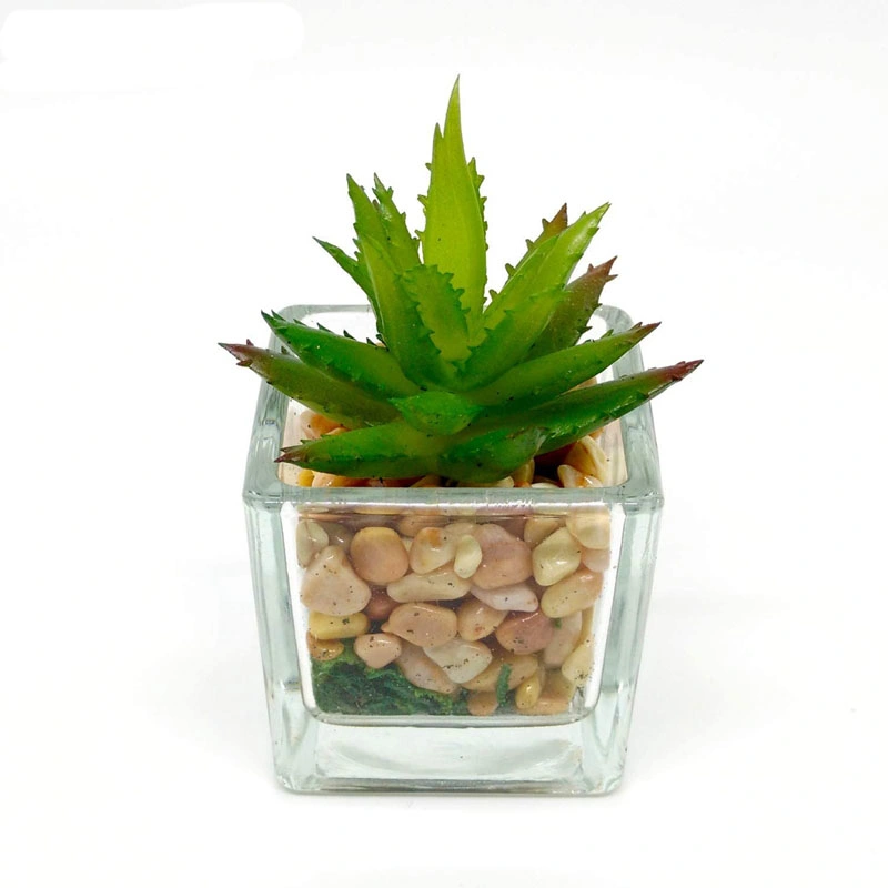 Small Glass Cube Artificial Succulent Planters 4 Set Assorted Faux Plants with Smooth Rocks