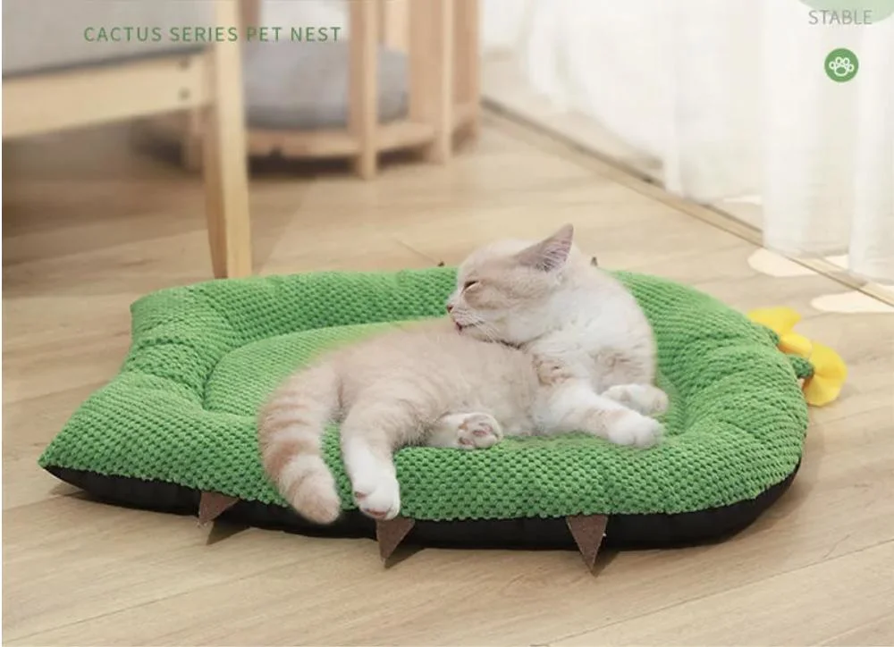 Creative Design Cacti Cat Nest Bed, Creative Pet Sleeping Bed, Pet Nest