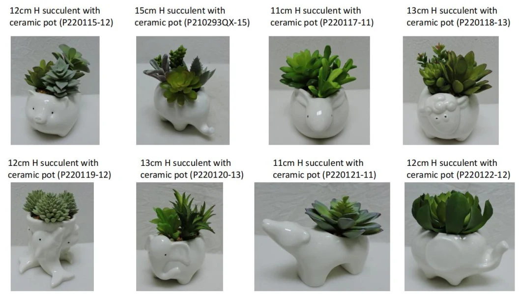 12 Cm Mix Succulent in Ceramic Pot