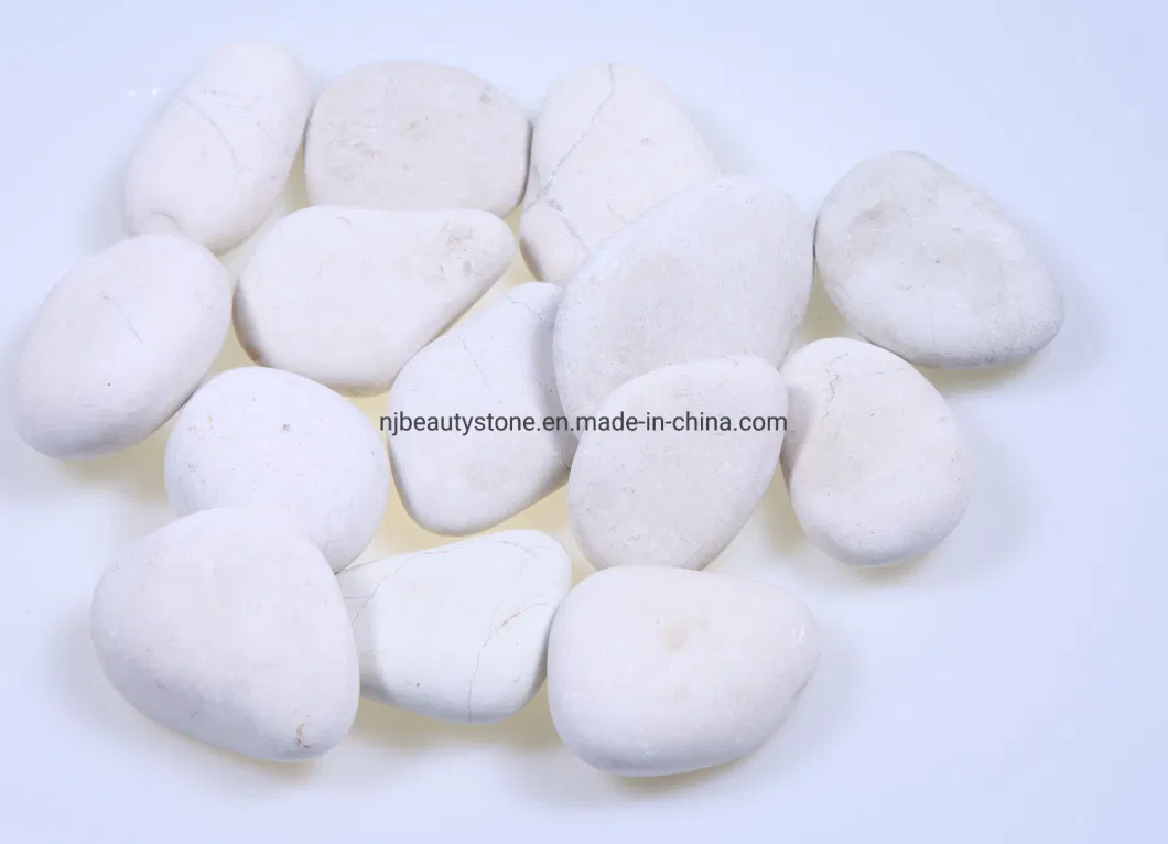 Rocks for Succulent Plants or Bonsai Garden, Bulk Bag &ndash; White Decorative Gravel Pebbles for Plants