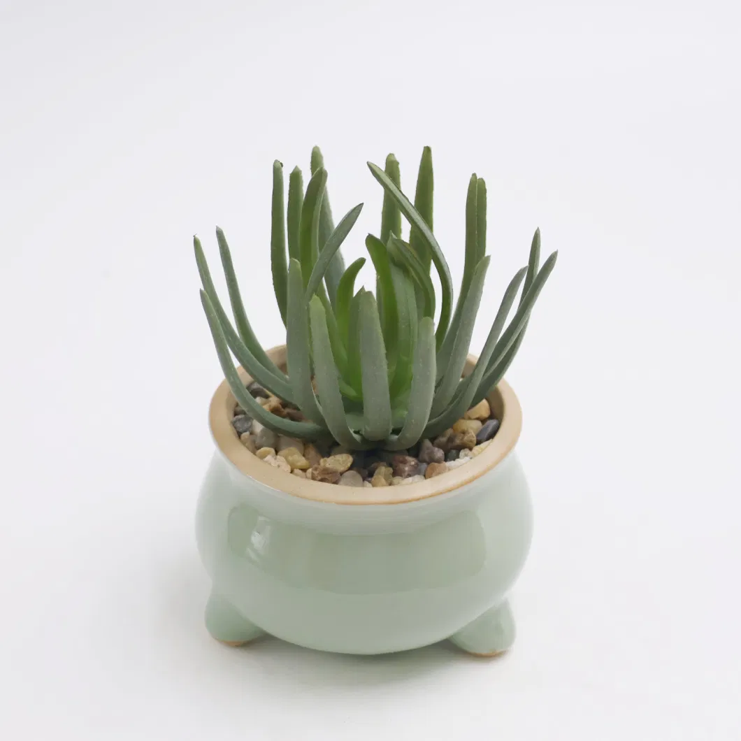 2023 New Design Artificial Plant Succulent with Ceramic Planter Pot