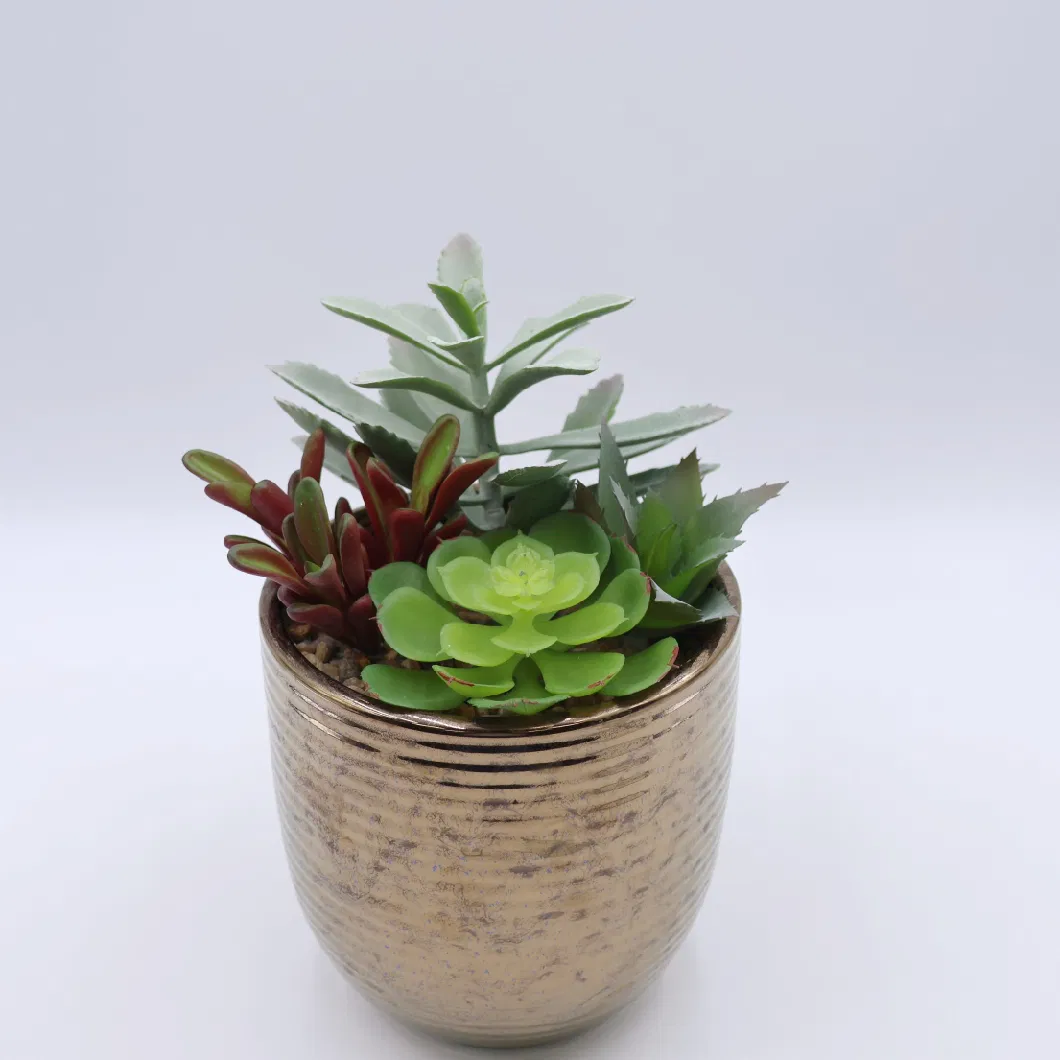 Faux Succulent Artificial Succulent Cactus Faked Air Plants for Assorted Decorative
