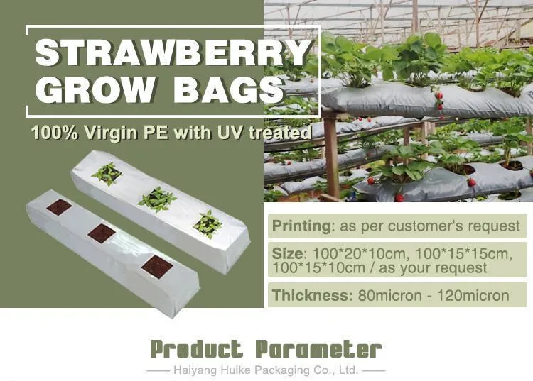 Wall Mount Garden Grow Bag for Indoor Outdoor Yard Balcony Planting Strawberries Flower Herbs Succulents Plants
