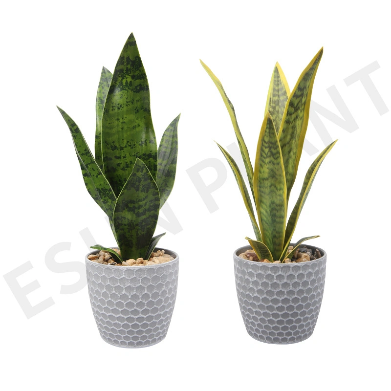 Imitation Succulent Plant Orchids Decorative of Plastic Bonsai